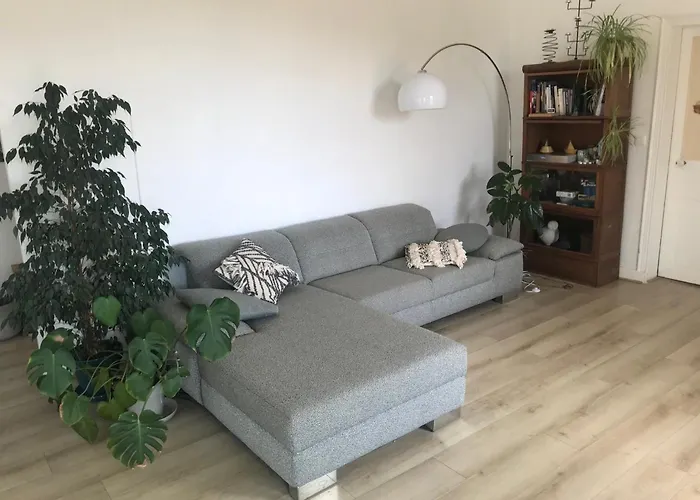 Mediterraneenne, Piscine, Jardin Pour 6 Personnes Roujan